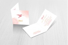 Lieve kolibri Lieve kolibri